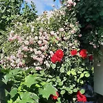 Appartement Apartma Vester - Large 3-bedroom Near *