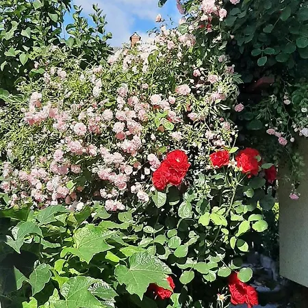 Daire Apartma Vester - Large 3-bedroom Near *