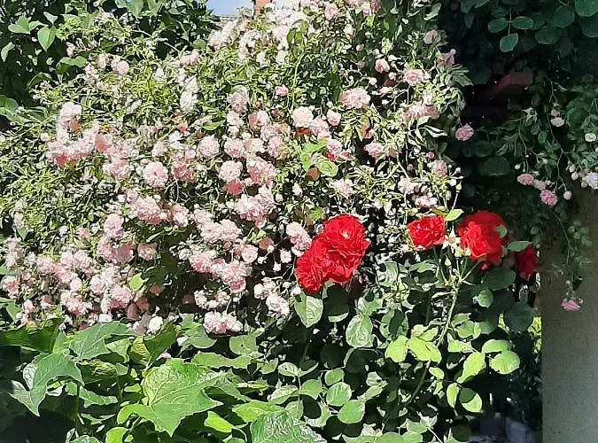 Apartamento Apartma Vester - Large 3-bedroom Near *