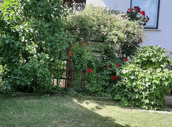 アパート Apartma Vester - Large 3-bedroom Near *